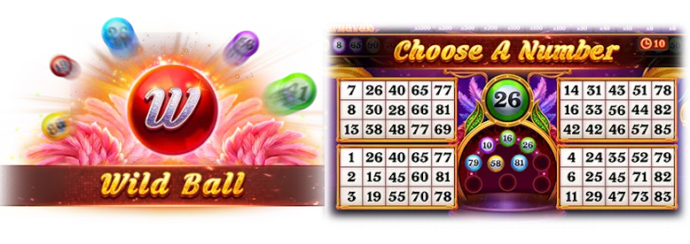 bingo carnival _rules_2