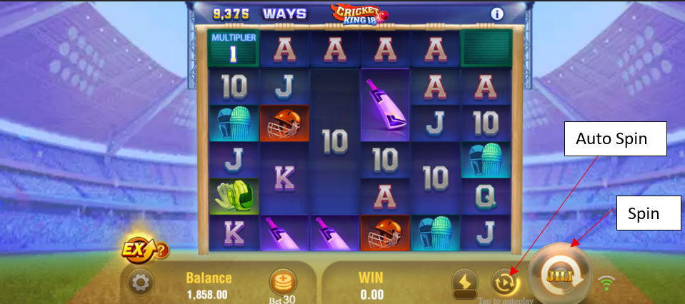 Cricket King 18 - step 3