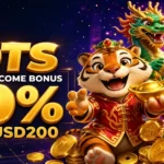 Betstar77 Slots First Deposit Welcome Bonus 100%